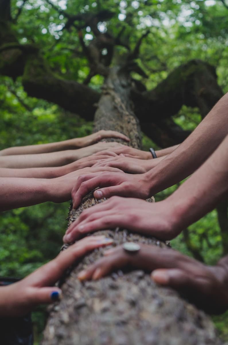 un groupe de personnes pose les mains sur un tronc d'arbre