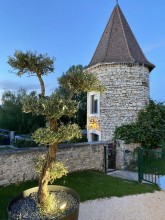 Votre événément d'entreprise avec team building et restauration gastronomique dans le cadre enchanteur du Domaine de Suzel entre Lyon et Chambéry Le Domaine de Suzel